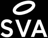 SV Angel